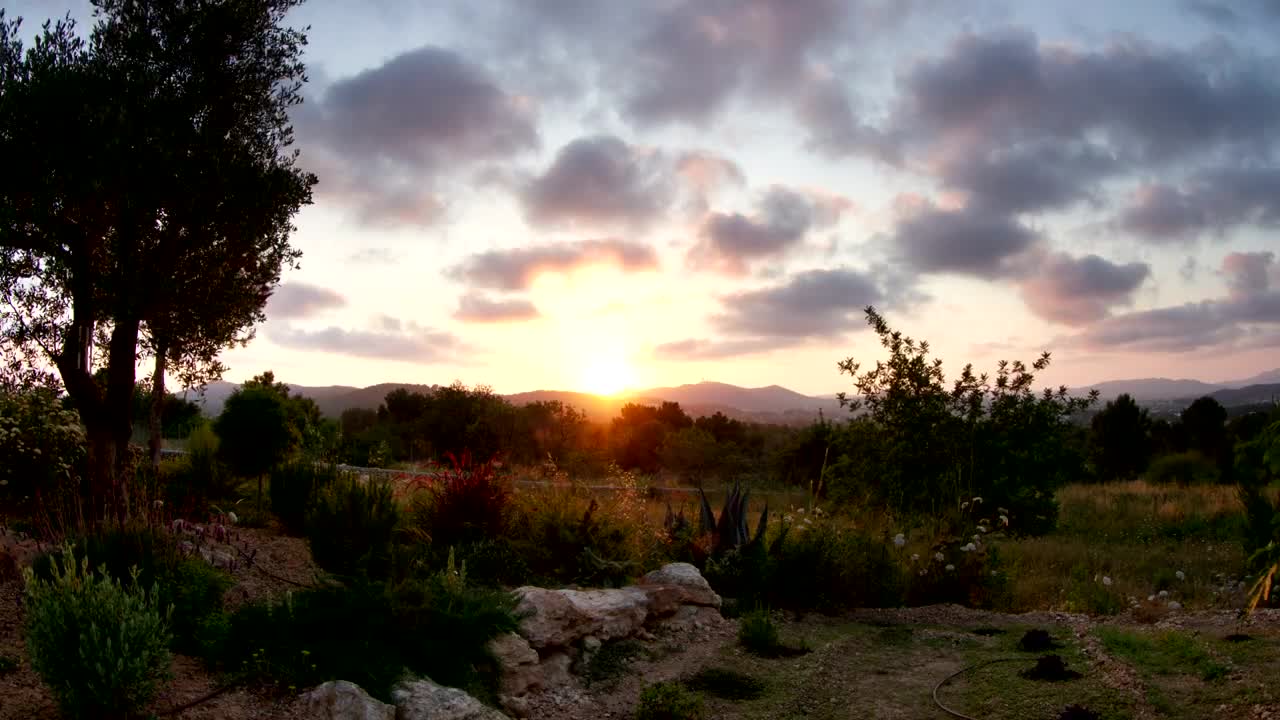Free Video Stock Sun Setting Over A Garden Live Wallpaper - Free Download