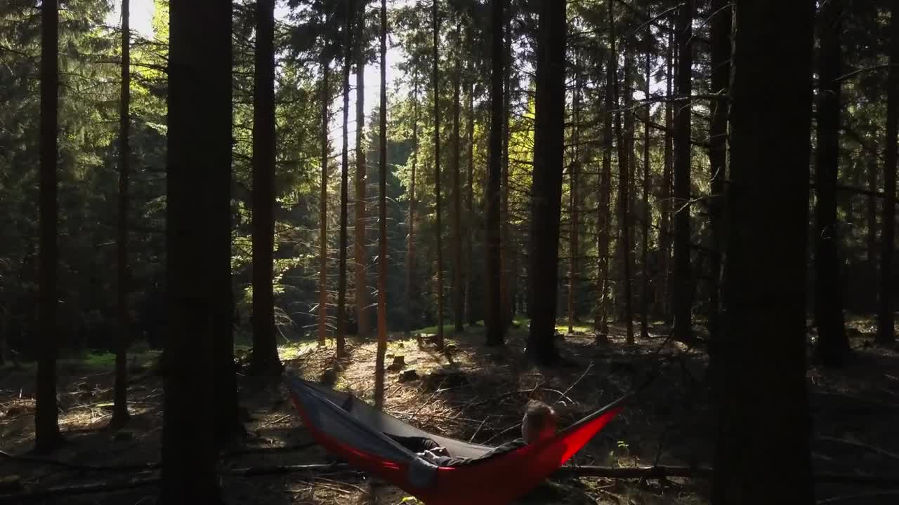 Stock Video Person In A Hammock In The Middle Of A Forest Live Wallpaper - Free Download