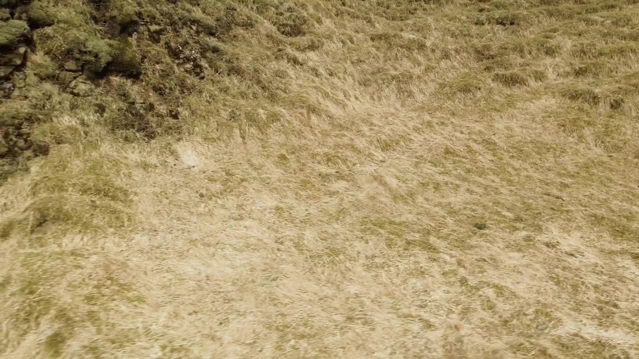 Stock Video Moss Covered Rocks By A Rive Animated Wallpaper - Free Download