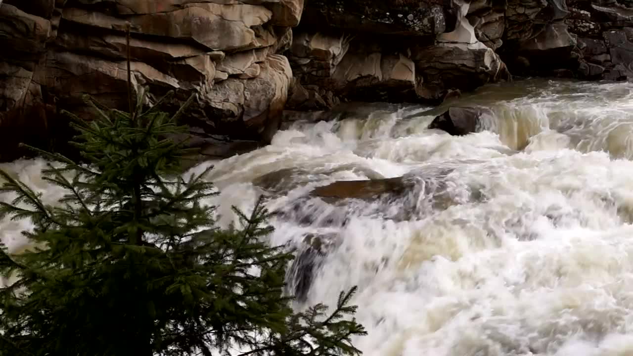 Stock Video Mountain Stream With Waterfall Live Wallpaper - Free Download