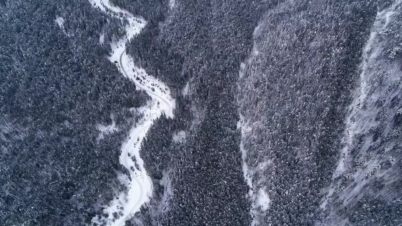Stock Video High View Of A Frozen Mountainous Forest Animated Wallpaper - Free Download