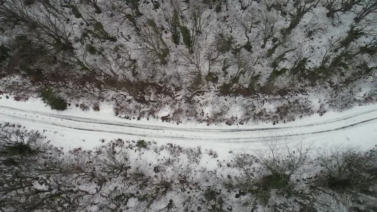 Free Video Stock Snow Covered Tracks Between Woodland Live Wallpaper - Free Download