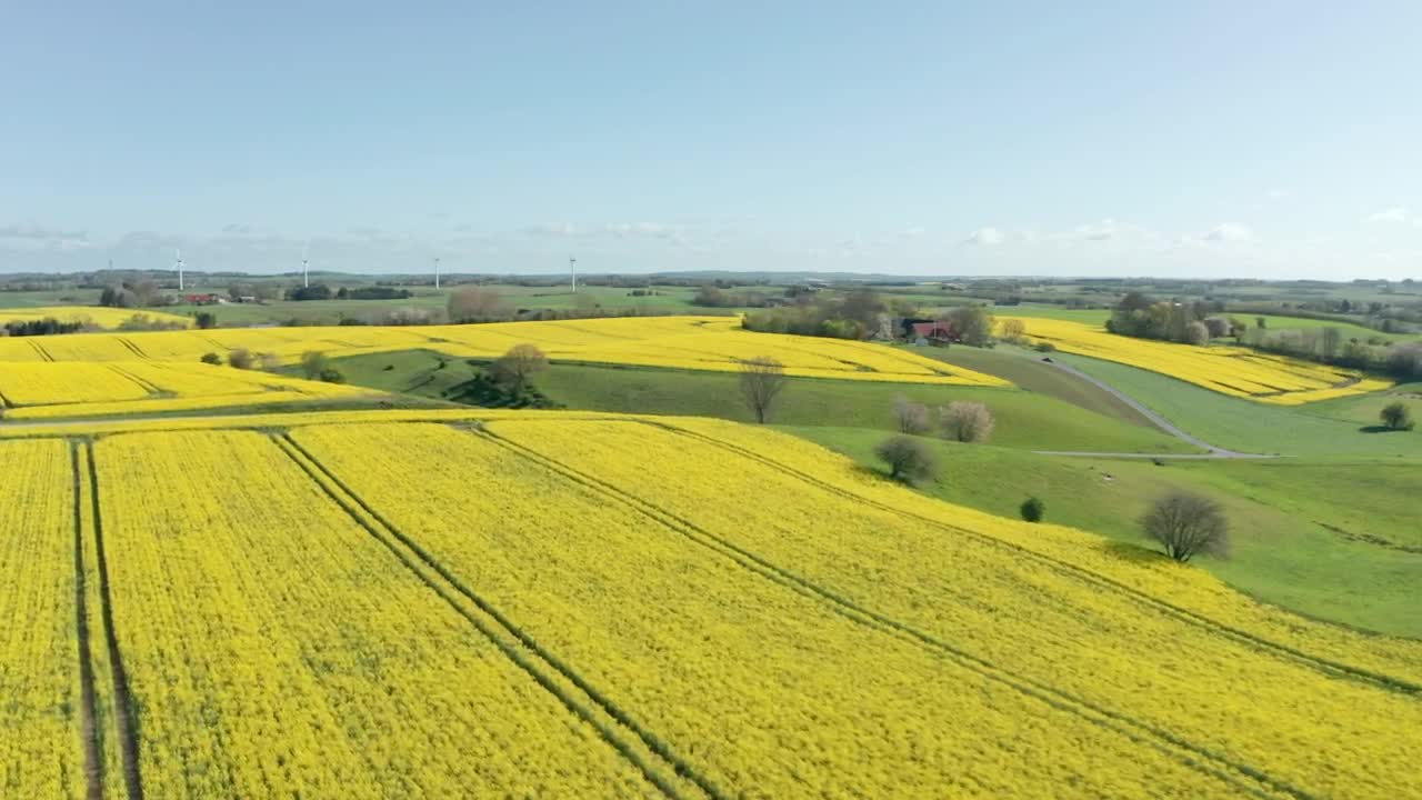 Stock Video Drone Flying High Over Crops Live Wallpaper For PC - Free Download