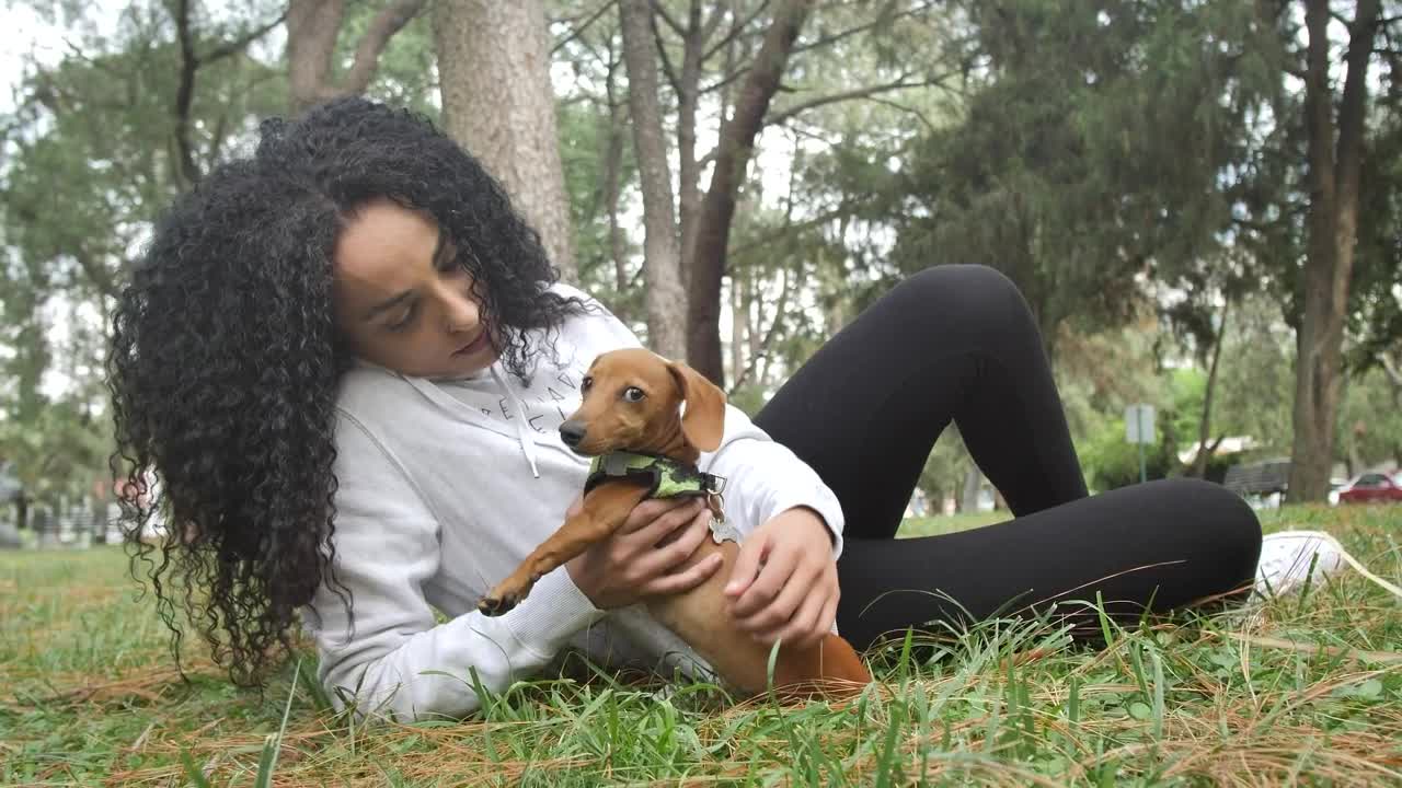 Free Video Stock taking care of your dog in the park Live Wallpaper - Free Download