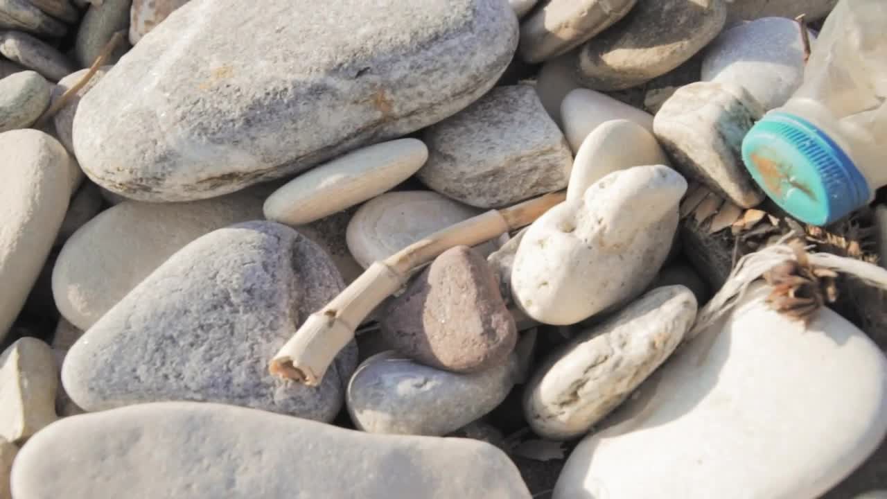 Video Stock Plastic Bottle Lying On The Beach Live Wallpaper Free - Free Download