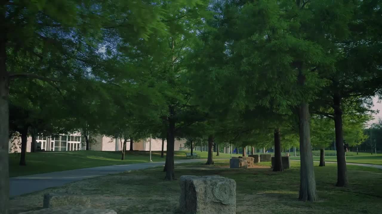 Free Video Stock Slow Walk Through A Quiet Park With Grass And Trees Live Wallpaper - Free Download