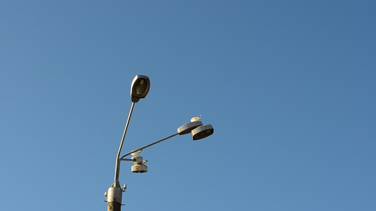 Free Video Stock Street Lights With Cctv Live Wallpaper - Free Download