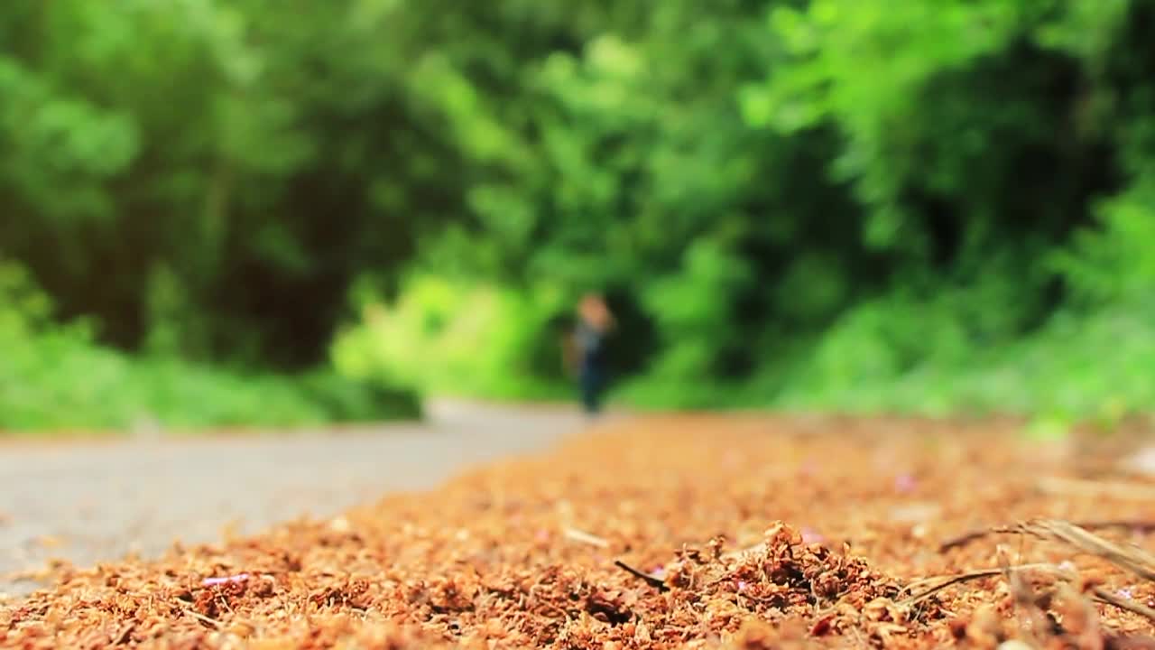 Stock Video Man Walking Alone On The Road In Natur Animated Wallpaper - Free Download