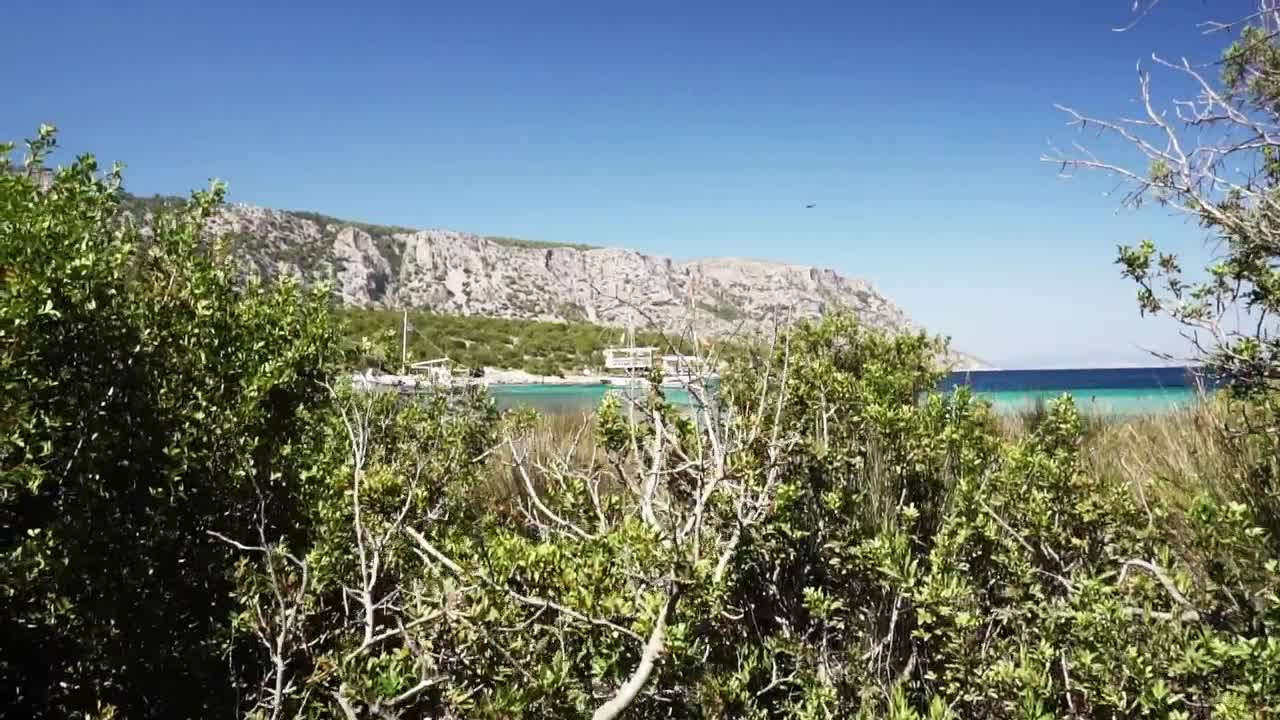 Stock Video Paradisiacal Tourist Bay Live Wallpaper - Free Download
