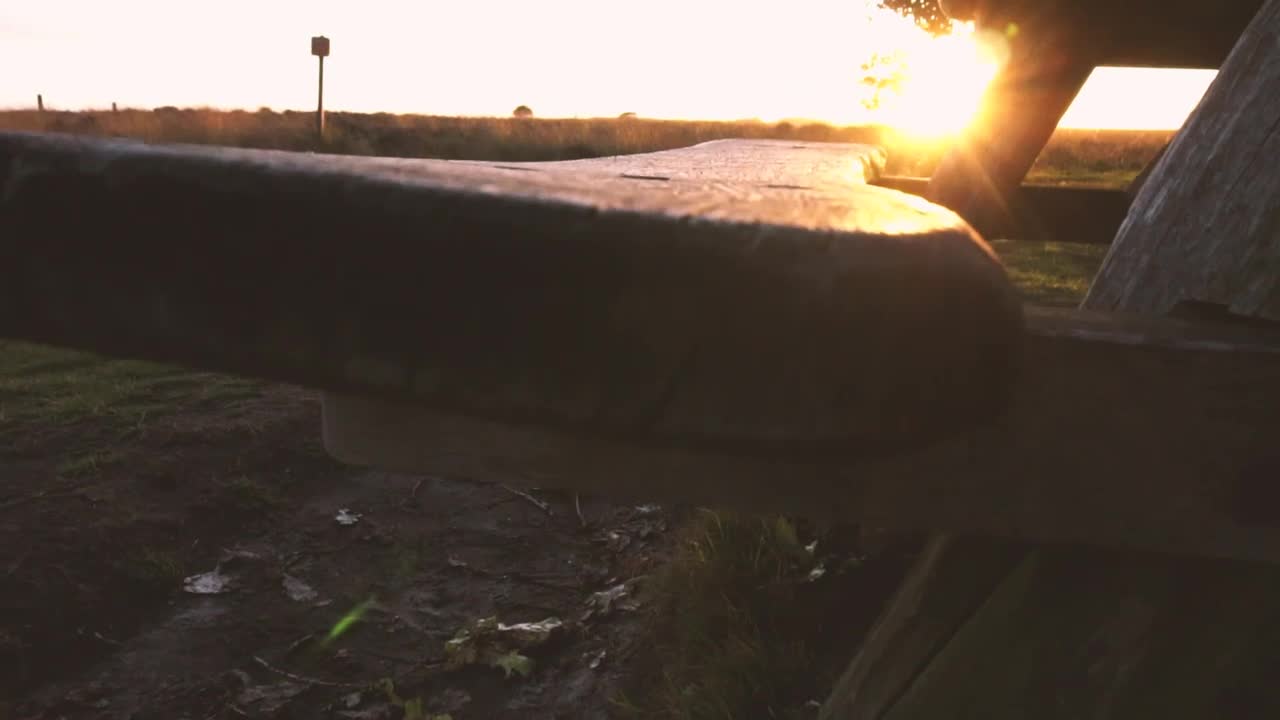 Video Stock Picnic Table In The Forest At Sunset Live Wallpaper Free - Free Download