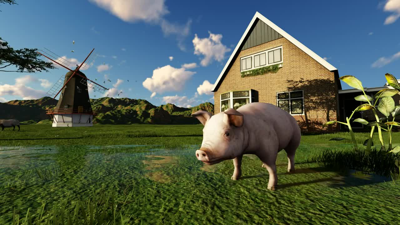 Video Stock Pig Drinking Water From A Lake On A Farm In Live Wallpaper Free - Free Download