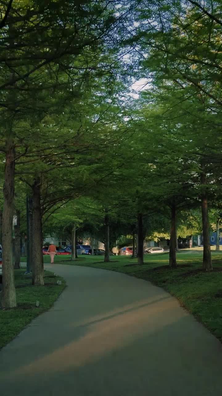 Free Video Stock Slowly Walking Down A Path In A Park Live Wallpaper - Free Download