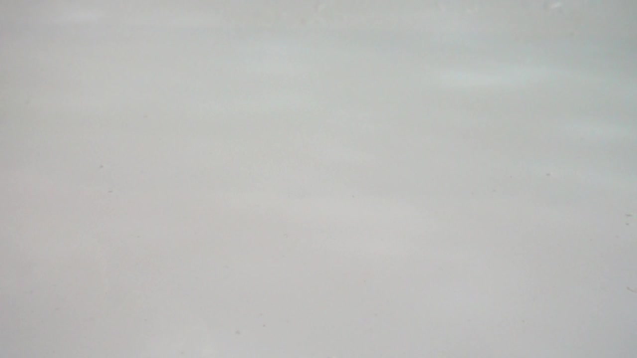 Stock Video Falling Cauliflowers Live Wallpaper For PC - Free Download