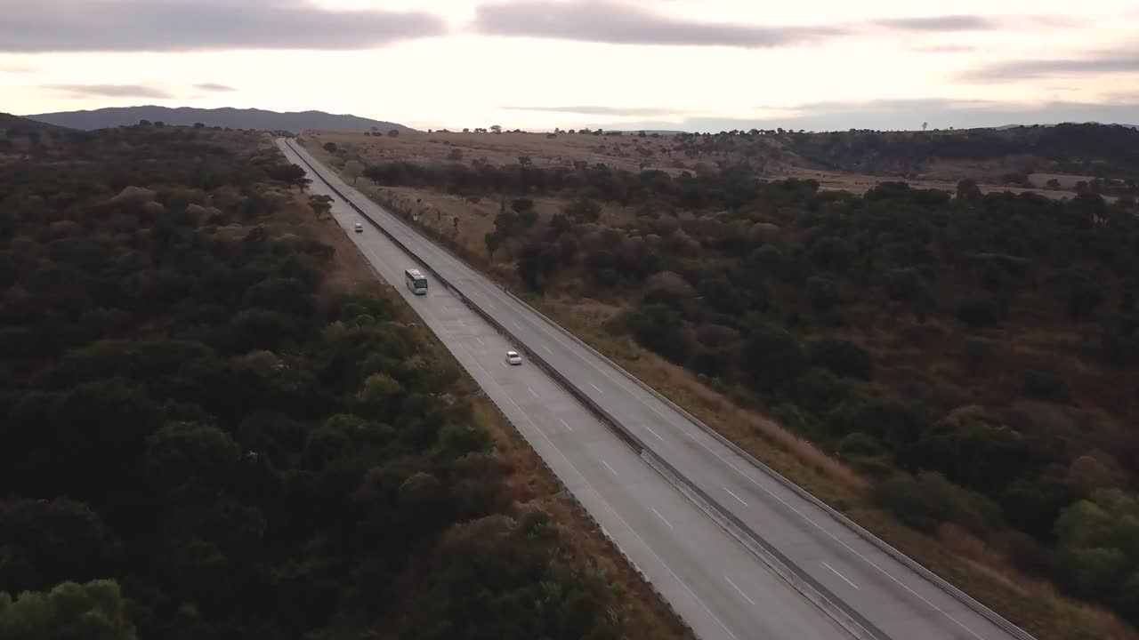 Stock Video Highway Between Trees Animated Wallpaper - Free Download