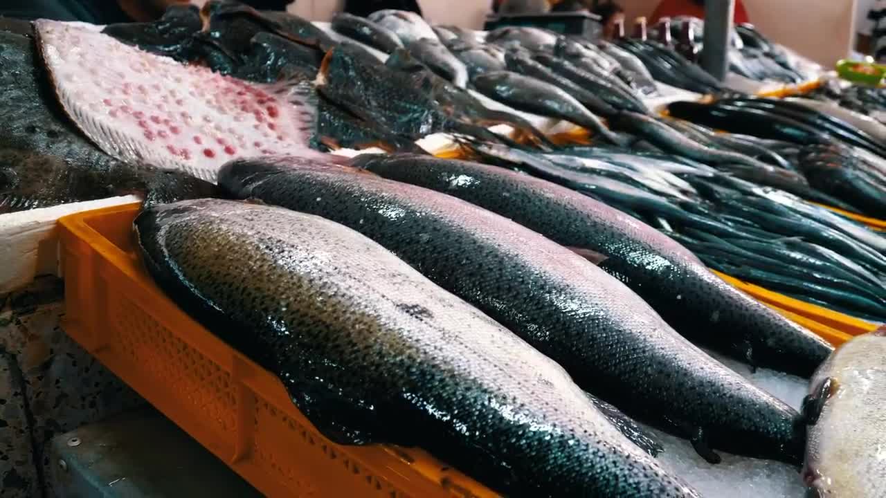Free Stock Video Variety Of Fresh Fish In The Market Live Wallpaper - Free Download