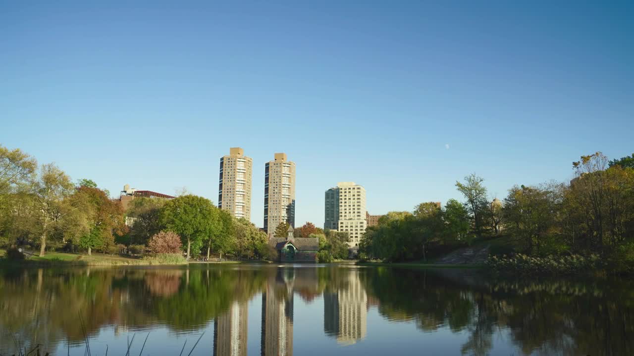 Stock Video Lake In Central Park Animated Wallpaper - Free Download