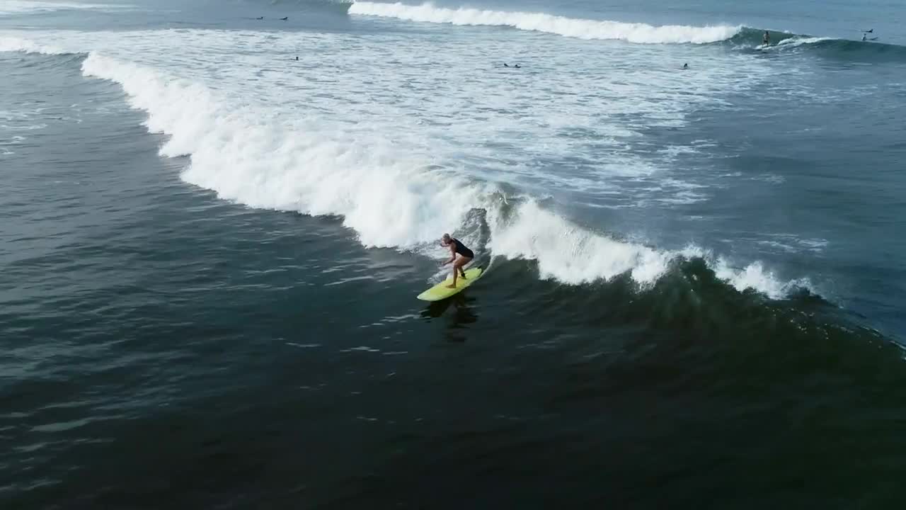 Free Stock Video Woman Practicing Surf Aerial Full Shot Live Wallpaper - Free Download