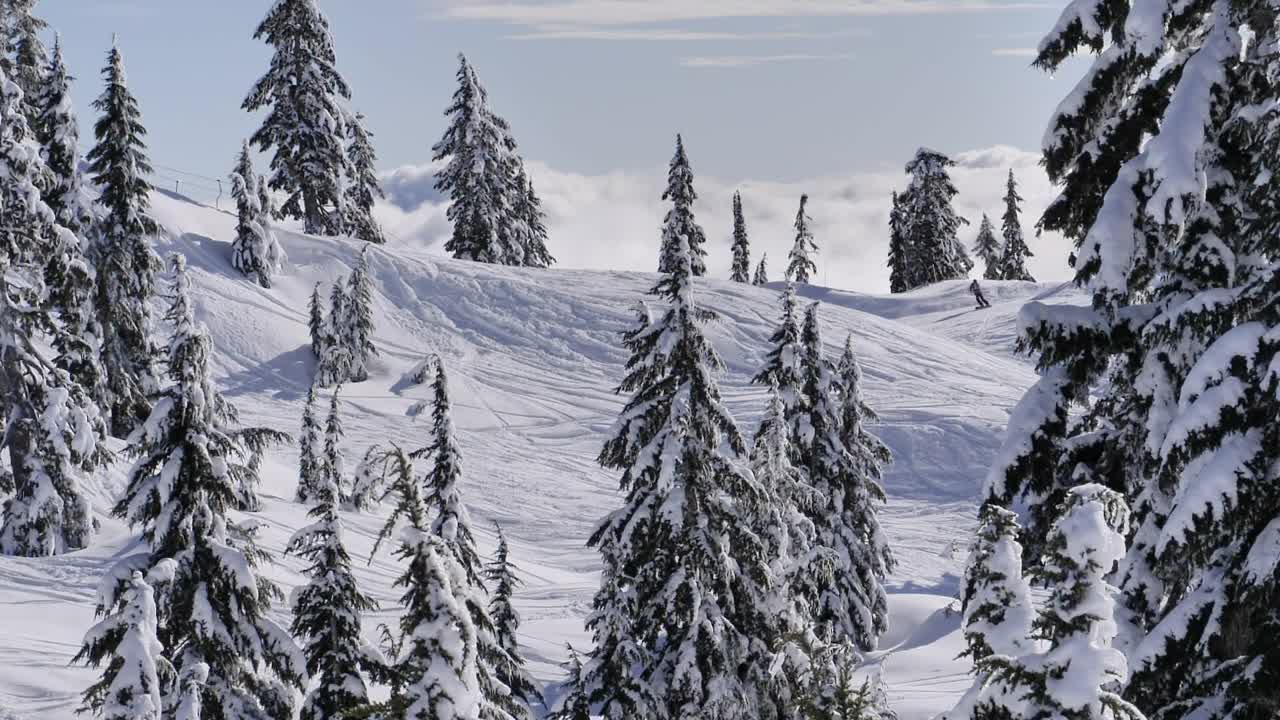 Video Stock Canadian Mountain Peak Environment Live Wallpaper For PC - Free Download