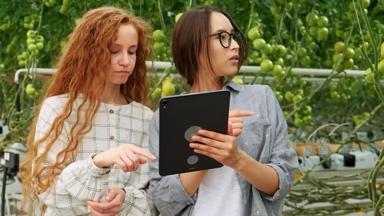 Free Stock Video Women Working In A Vegetable Greenhouse Live Wallpaper - Free Download