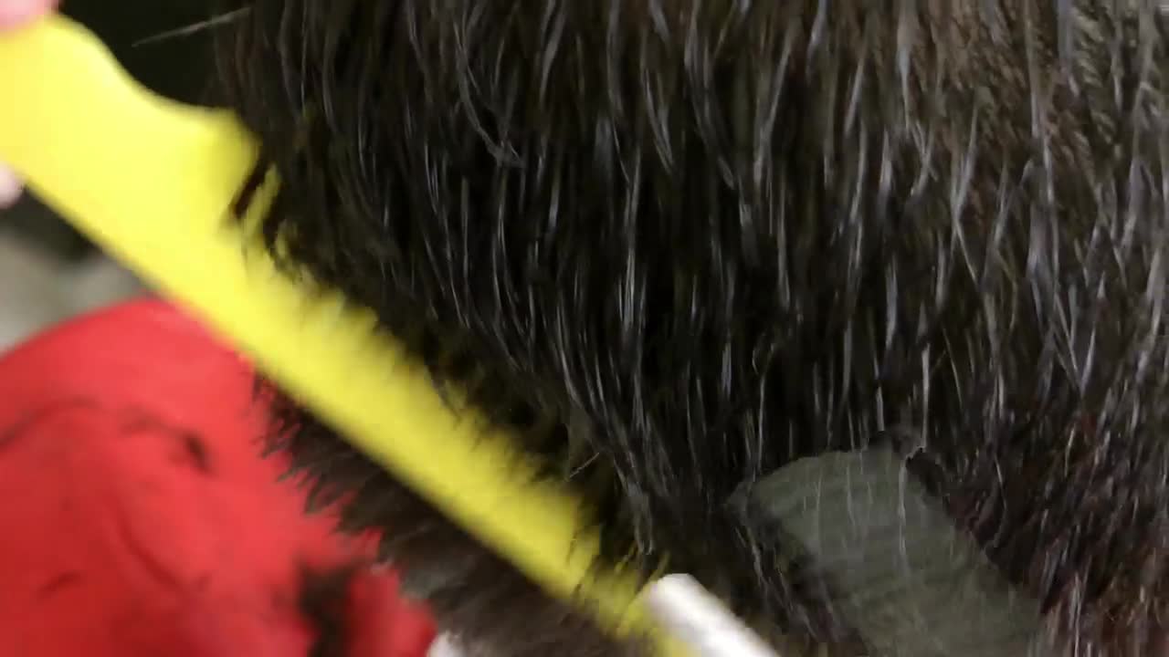Stock Video Making A Haircut With Scissors And Comb Animated Wallpaper - Free Download