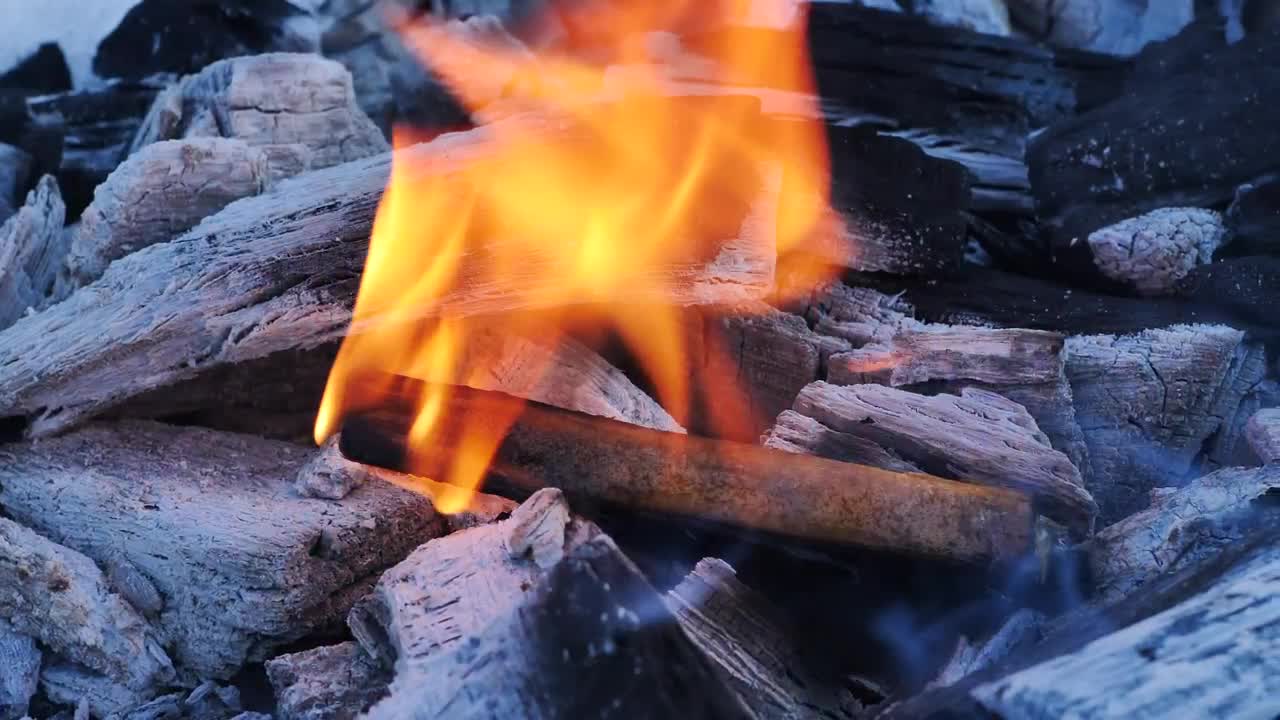 Stock Video Fire Burns A Piece Of Wood Live Wallpaper For PC - Free Download