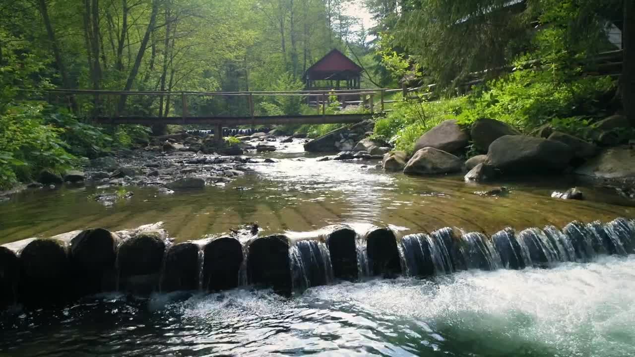 Free Stock Video River In A Cabin Area In The Woods Live Wallpaper - Free Download