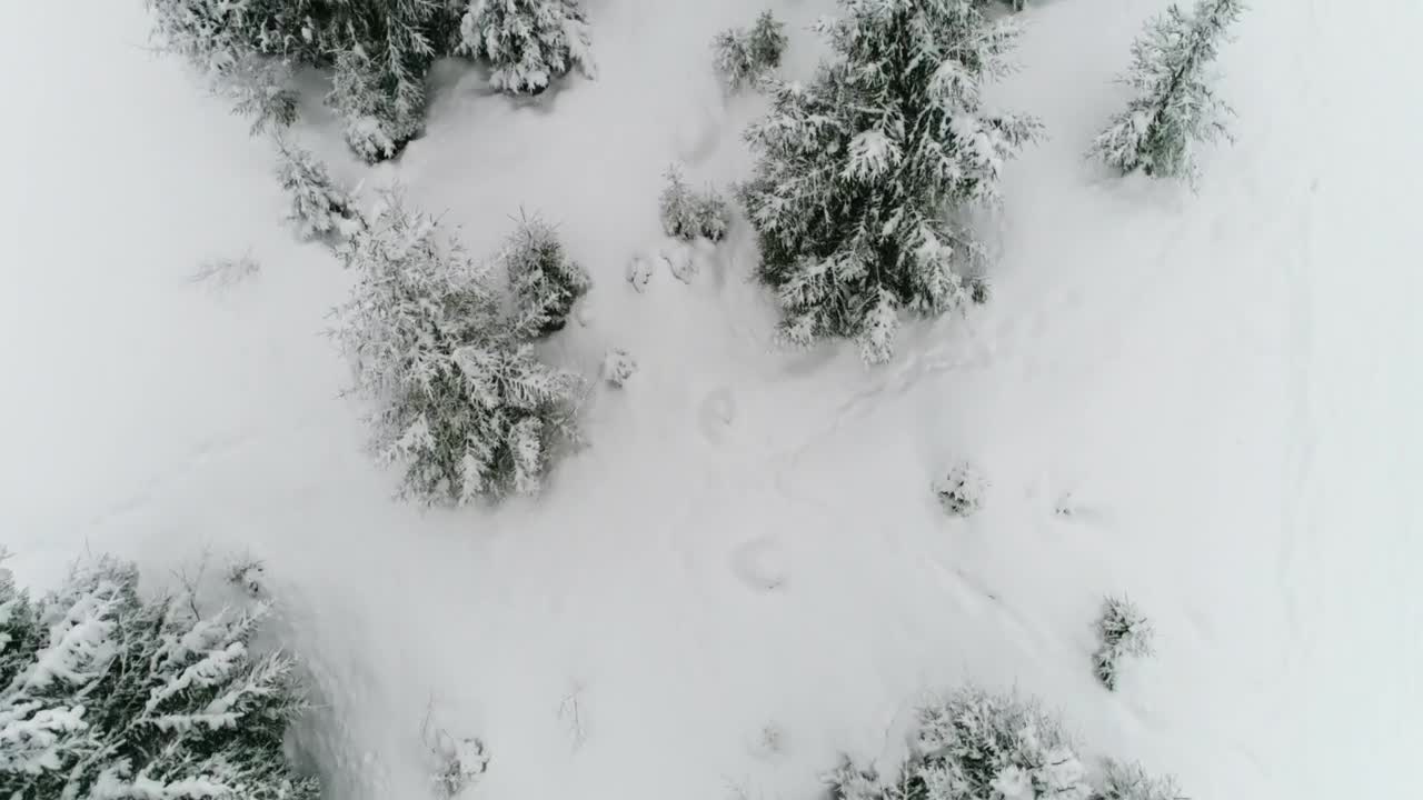 Free Video Stock Snowing In A Forest Top Aerial Shot Live Wallpaper - Free Download