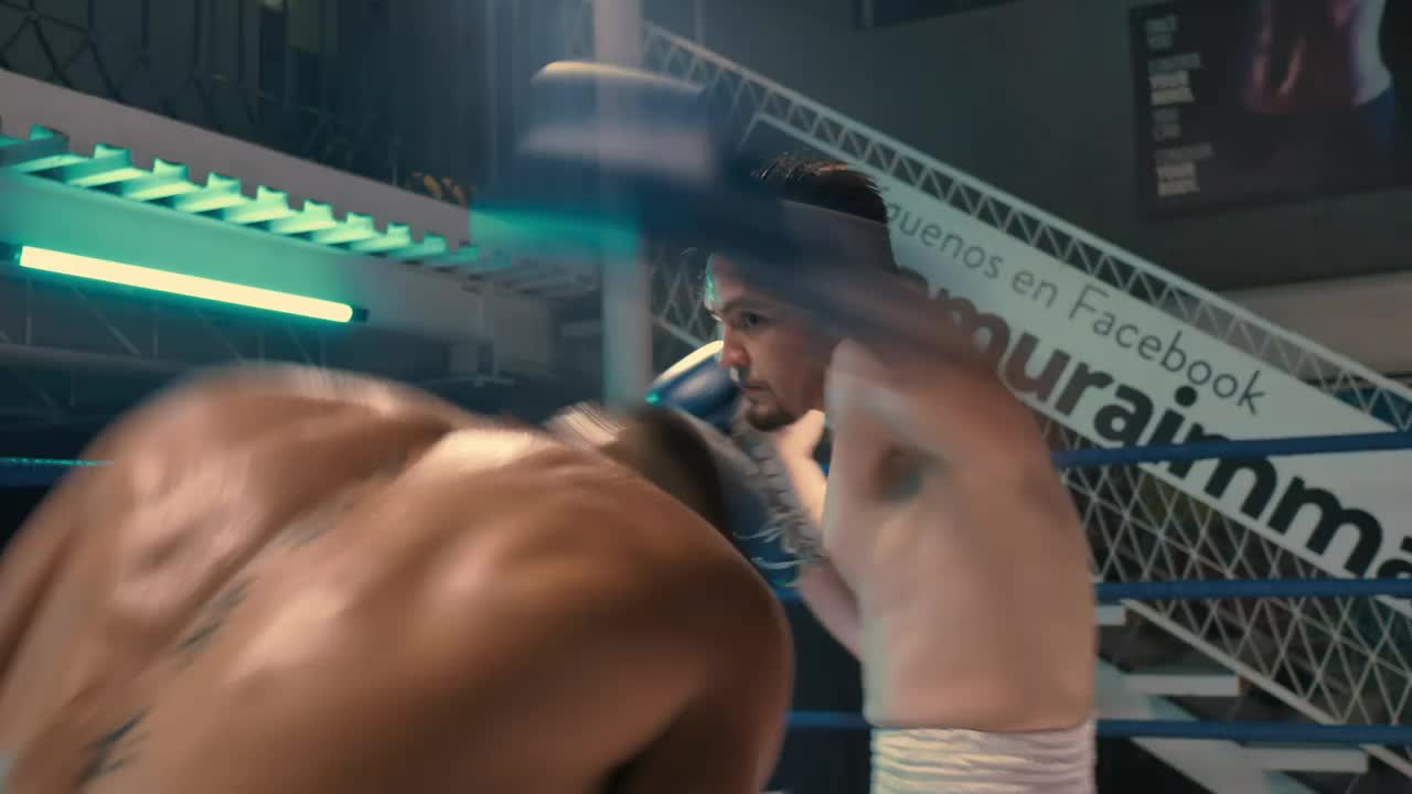 Stock Video Intense Semi Pro Boxing Match Animated Wallpaper - Free Download