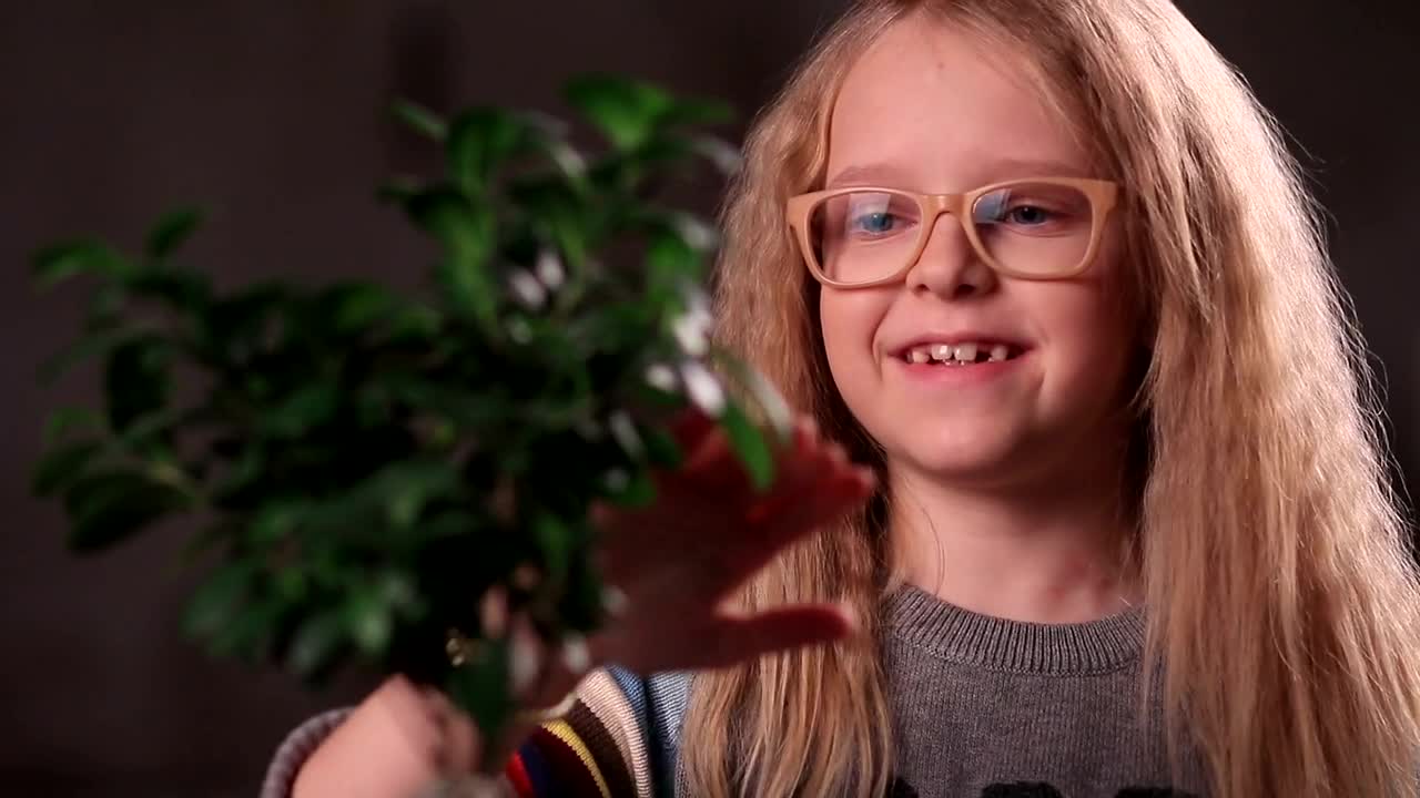 Stock Video Girl Touching A Plastic Plant Live Wallpaper For PC - Free Download