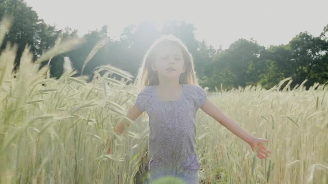 Free Video Stock Slow Motion Girl Running Through Tall Grass In Sun Live Wallpaper - Free Download