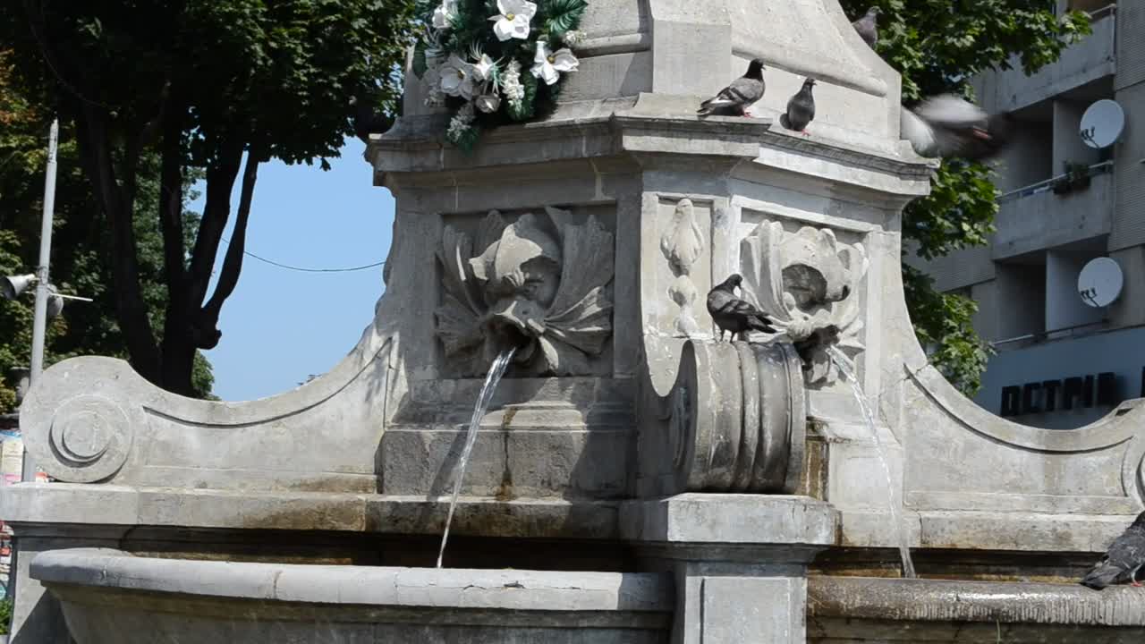 Stock Footage Water Fountain With Birds Live Wallpaper - Free Download