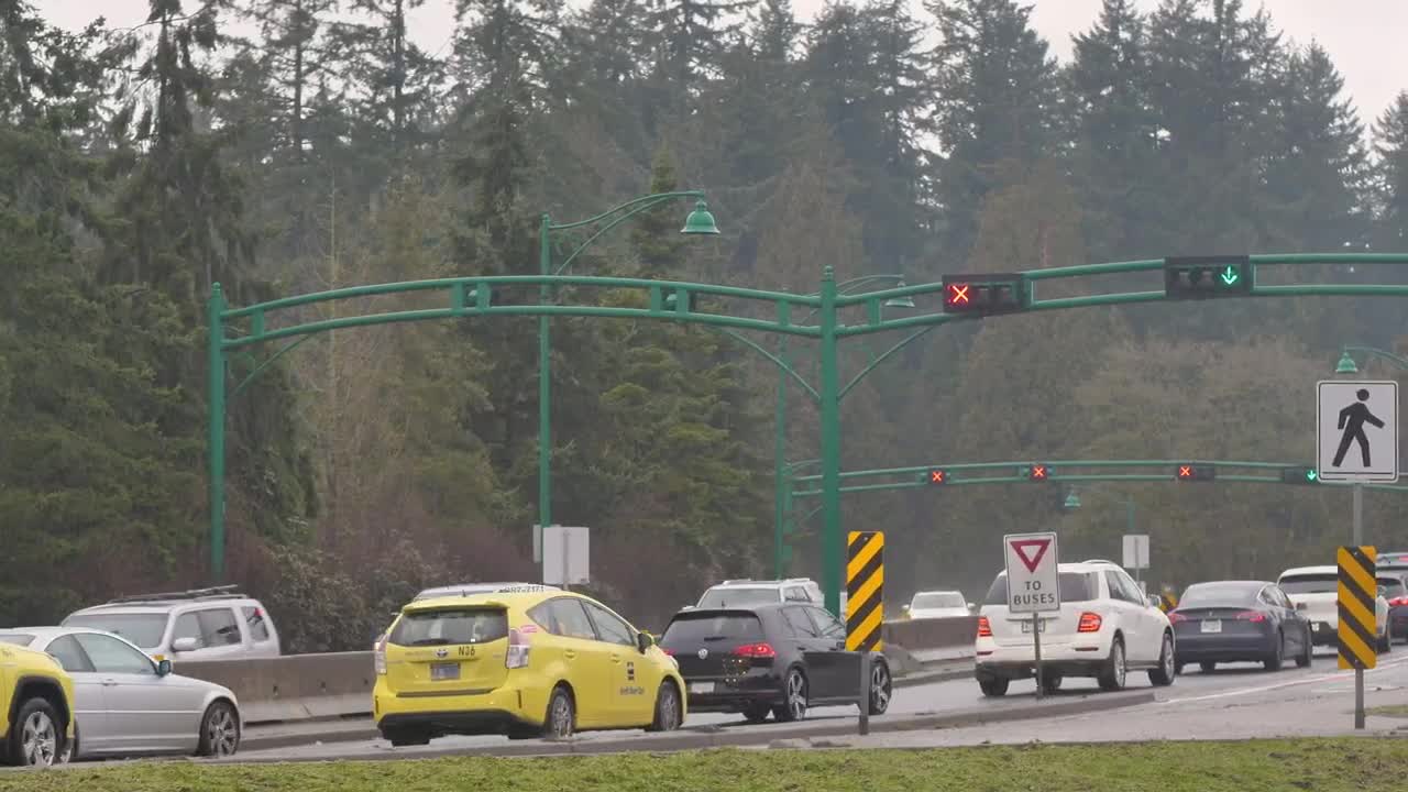 Free Video Stock traffic jam on a highway in a pine forest Live Wallpaper - Free Download