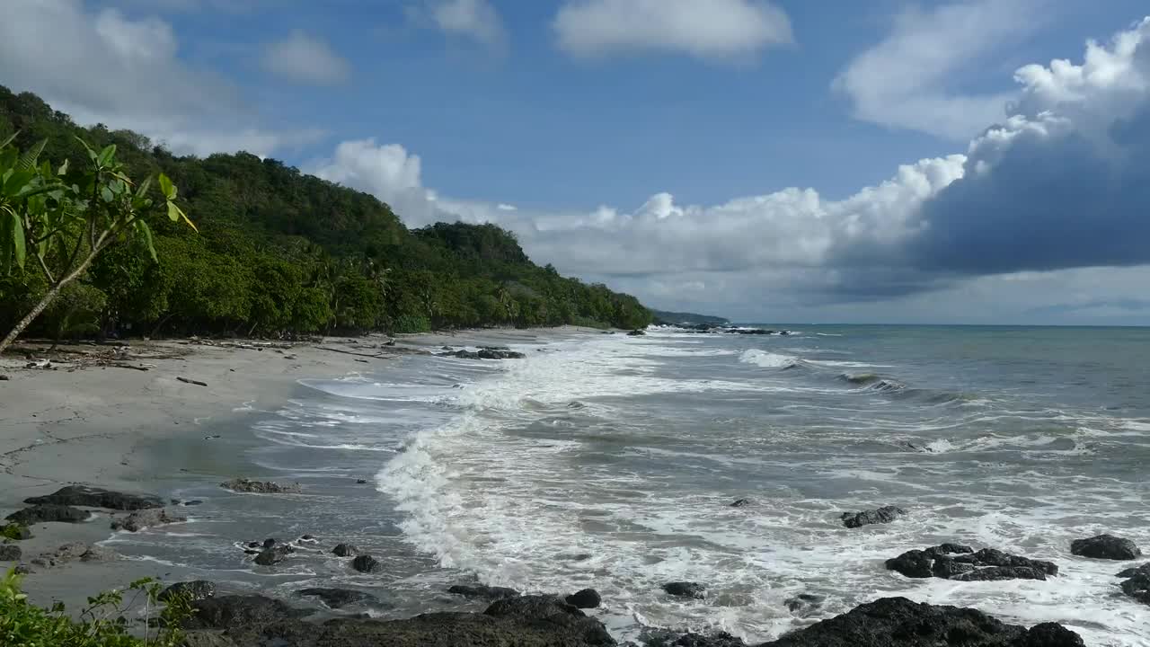 Stock Video Beautiful Tropical Beach And Jungle Live Wallpaper For PC - Free Download