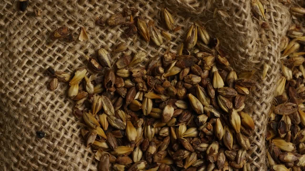Stock Video Beer Brewing Ingredients On A Natural Fabric Live Wallpaper For PC - Free Download