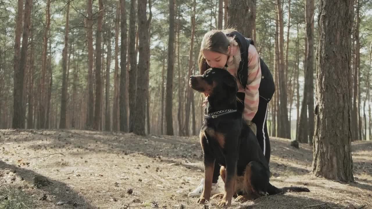 Stock Video Little Girl Kisses Her Dog In The Park Animated Wallpaper - Free Download