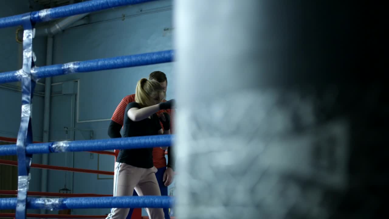 Stock Footage Woman Boxing With A Punching Bag Live Wallpaper - Free Download