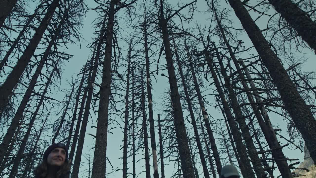 Stock Video Couple Of Hikers Admiring The Landscape Live Wallpaper For PC - Free Download