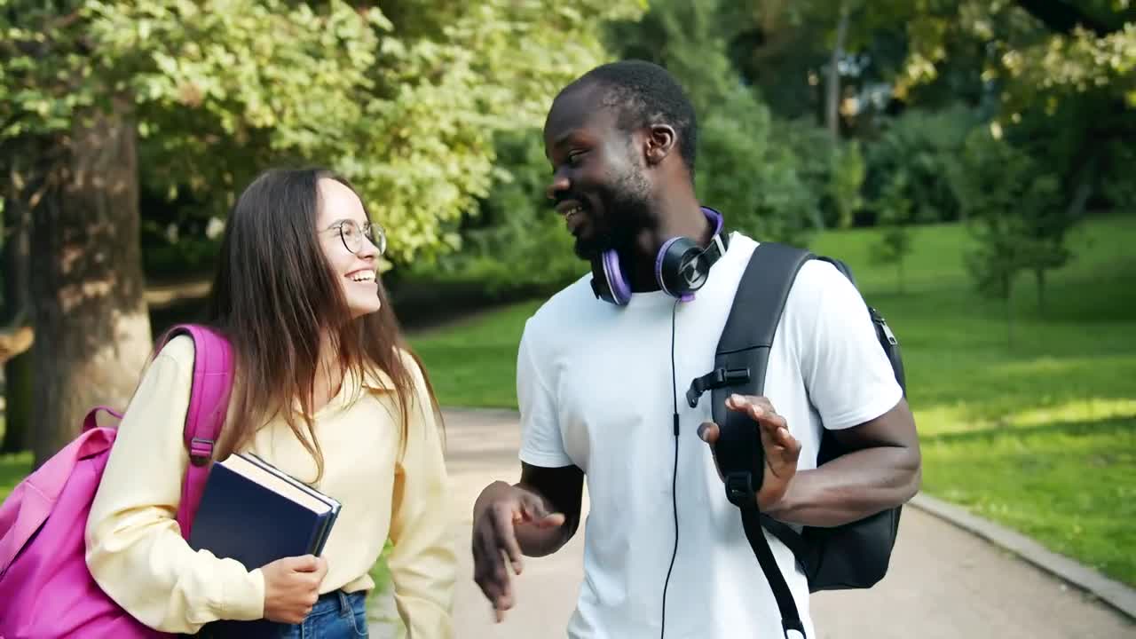 Stock Video College Classmates Talking At The Park Live Wallpaper For PC - Free Download