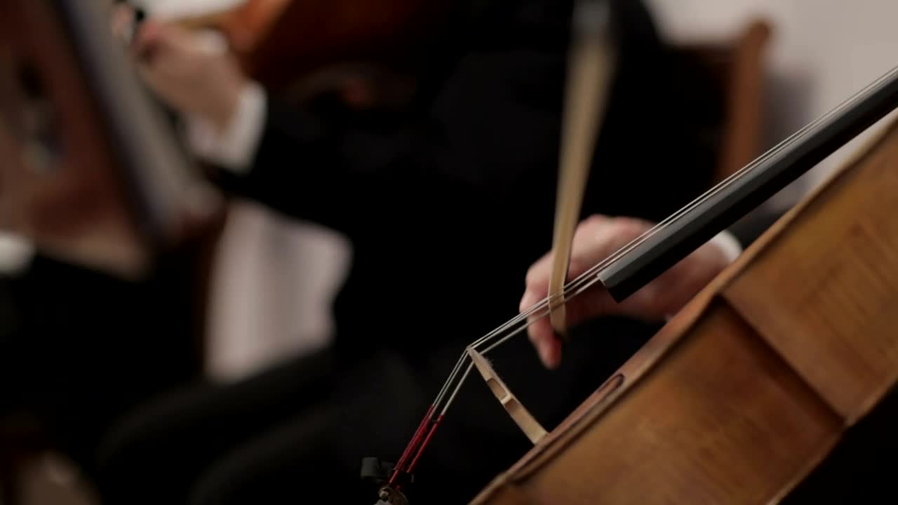 Free Video Stock String Orchestra Live Wallpaper - Free Download