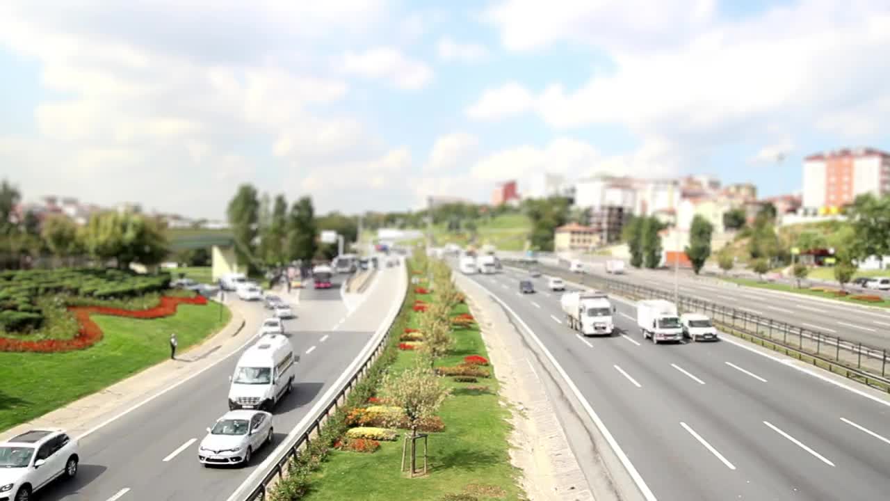 Free Video Stock time lapse of a sunny day in an avenue Live Wallpaper - Free Download