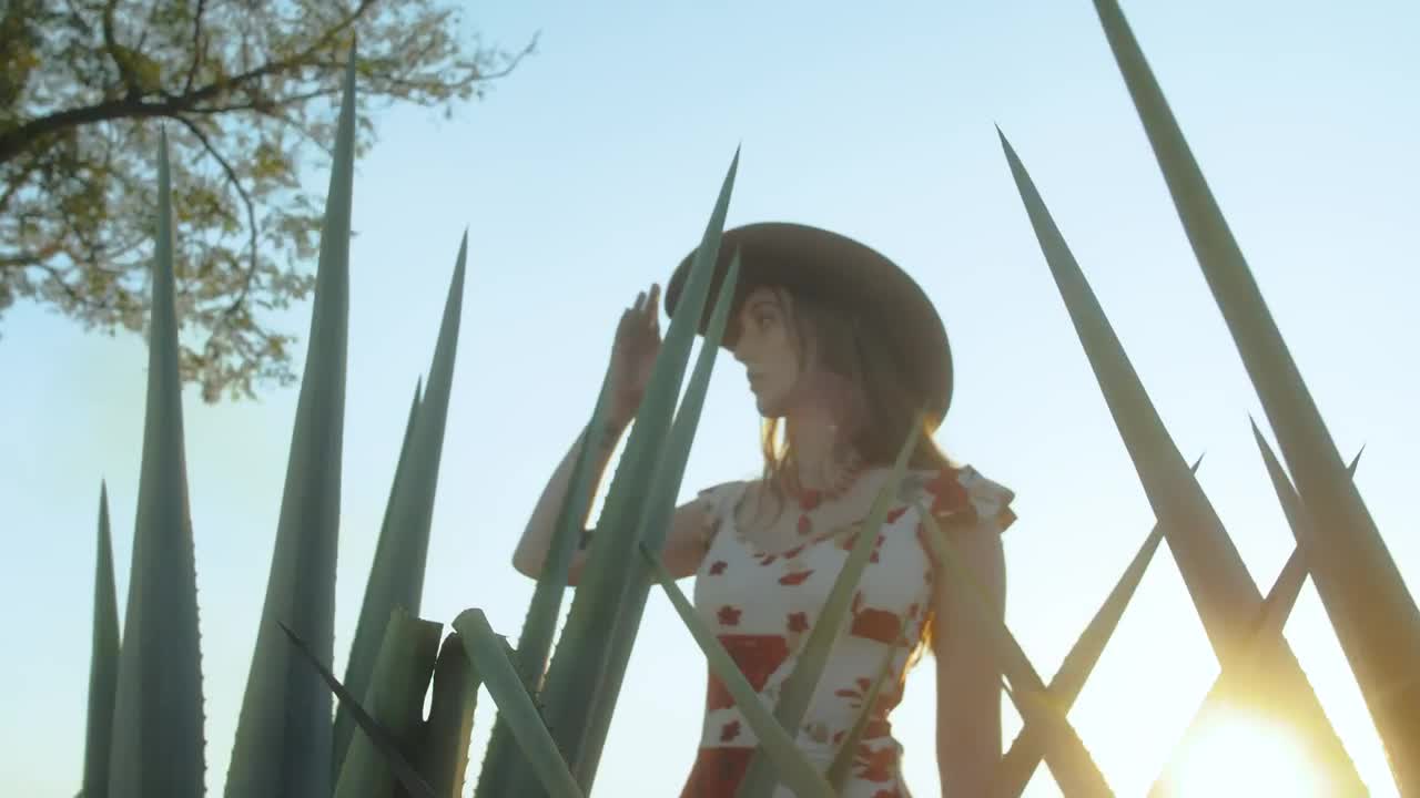 Video Stock Portrait Of A Girl In A Sunny Maguey Field Live Wallpaper Free - Free Download