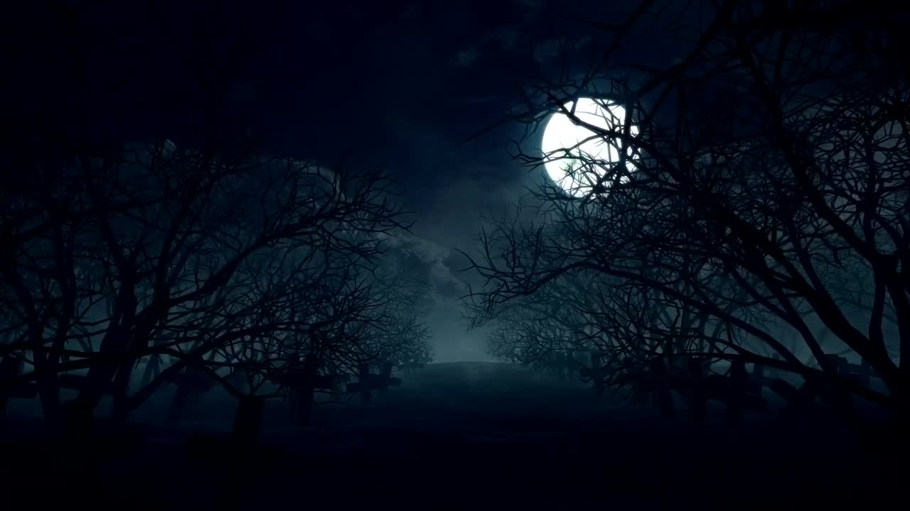 Stock Video Full Moon On Halloween Night Loop Video Live Wallpaper For PC - Free Download