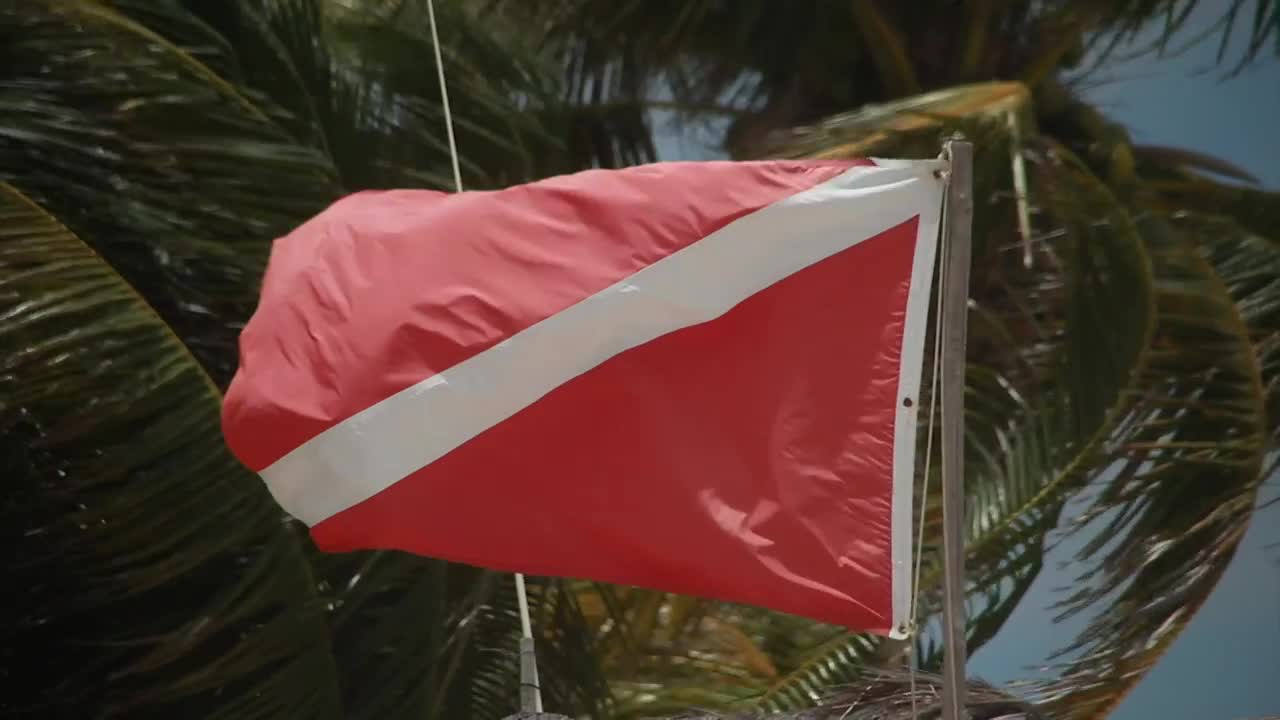Stock Video Diver Flag Blowing In The Wind Live Wallpaper For PC - Free Download