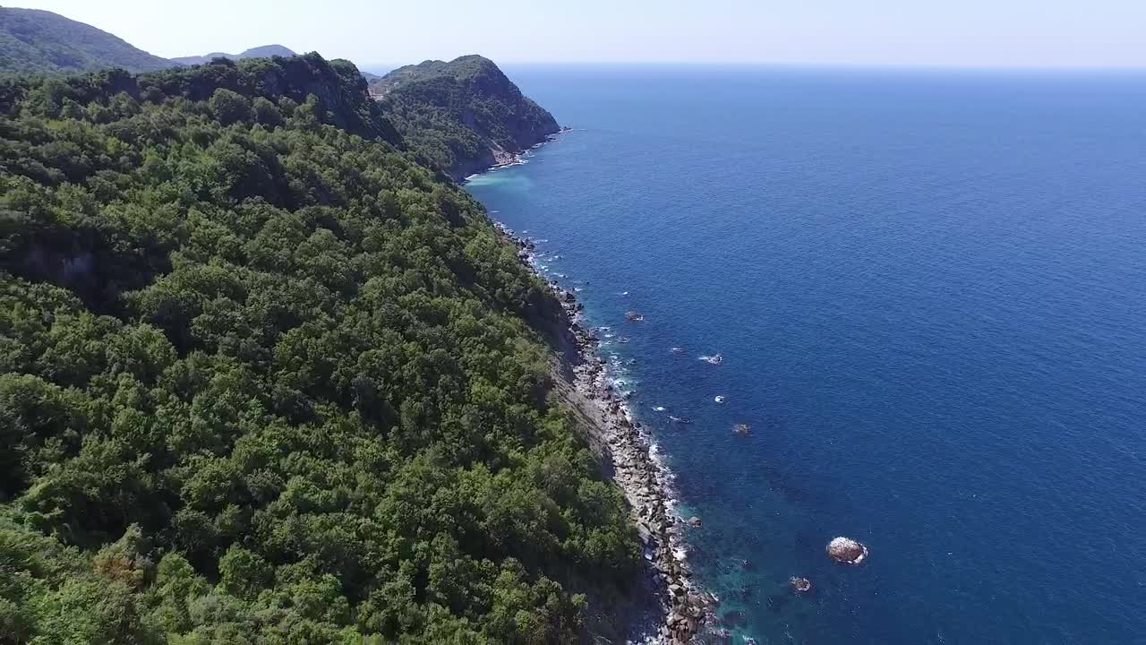 Stock Video Forested Mountains Cliffs And The Ocean Live Wallpaper For PC - Free Download