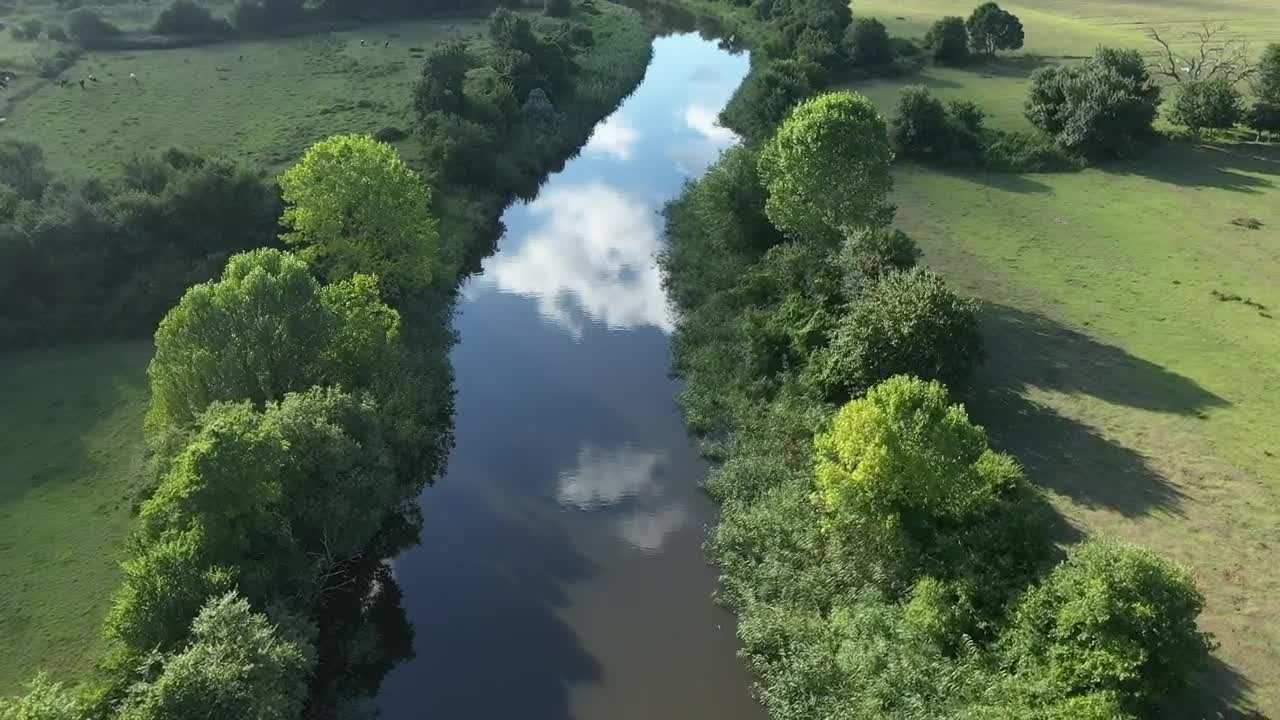 Stock Video Dancing On The River Bank Live Wallpaper For PC - Free Download