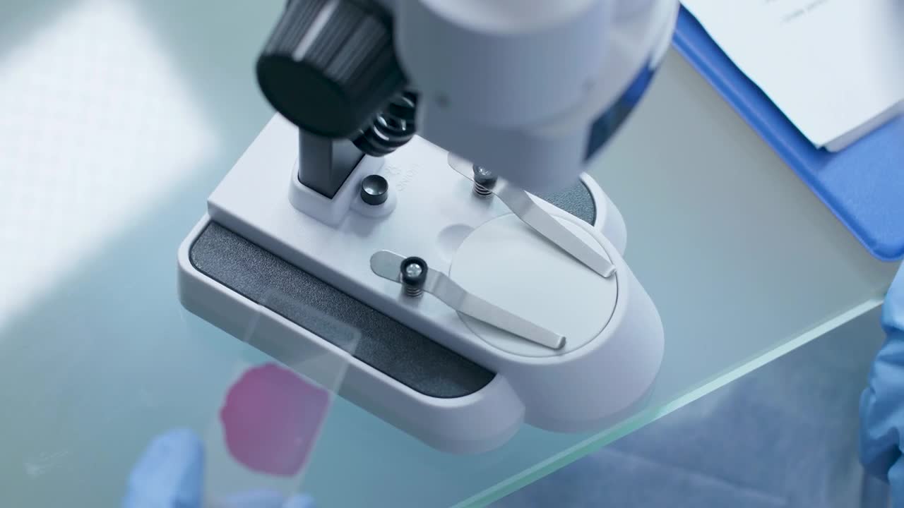 Free Stock Video Scientist Preparing A Sample Live Wallpaper - Free Download