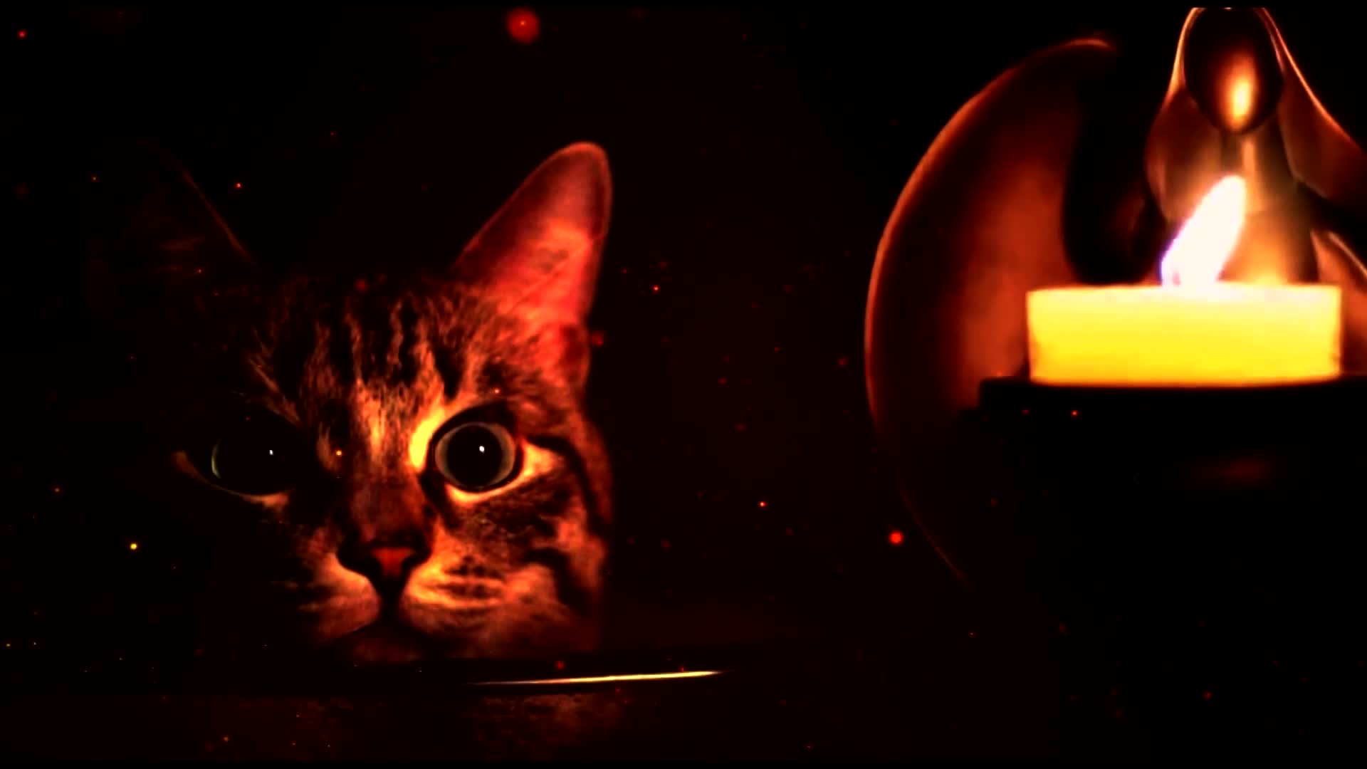 Cat and Candle - Free Download