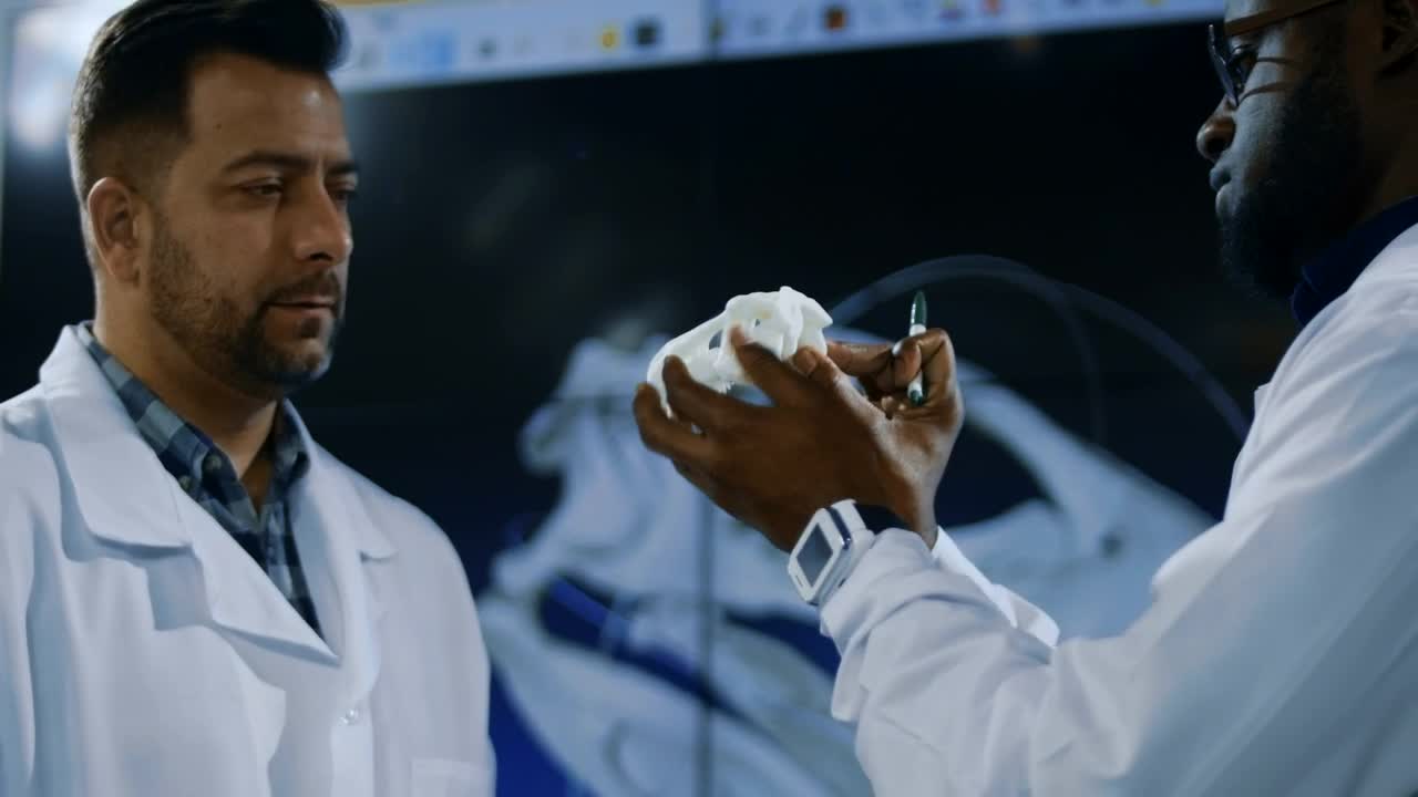 Free Stock Video Scientists Working With Dinosaurs Skull In The Lab Live Wallpaper - Free Download