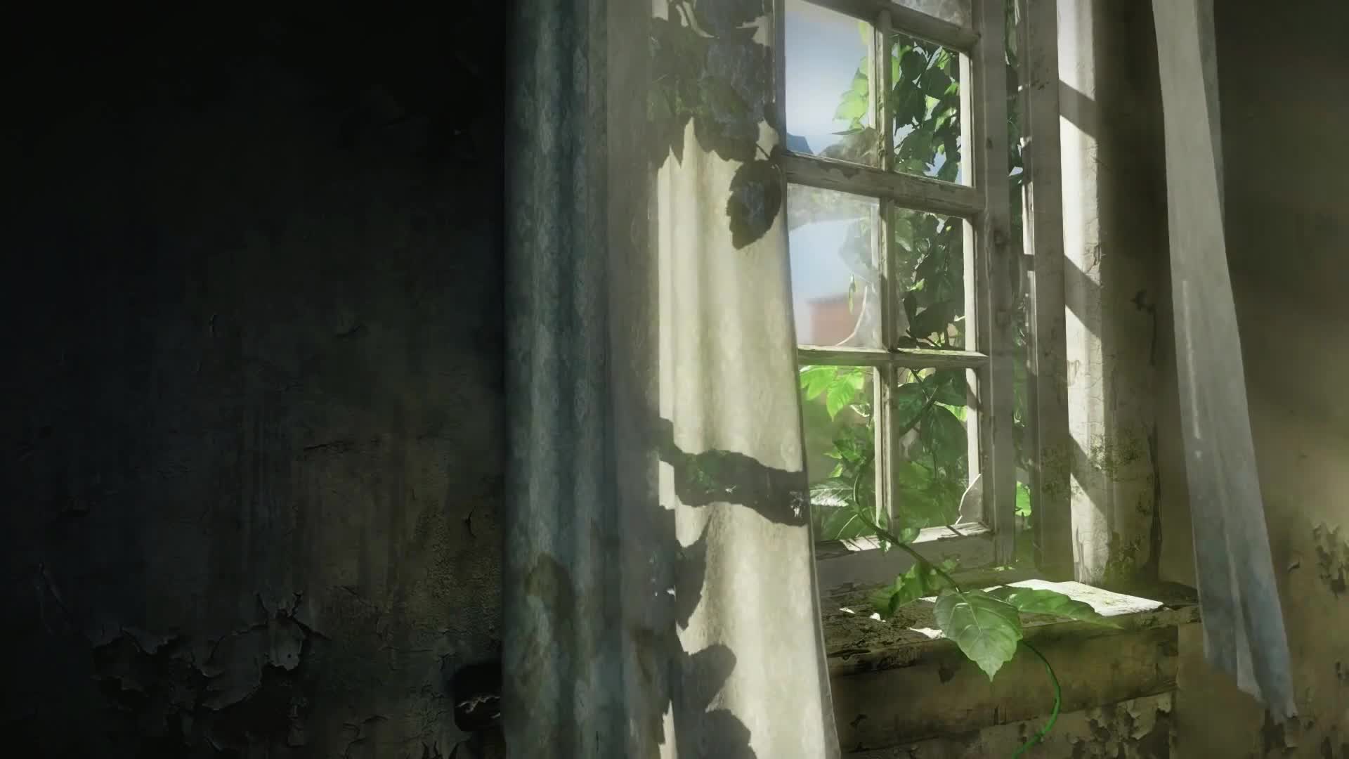 The Last of Us HDR 60fps fluid HD LIve Wallpaper - Free Download