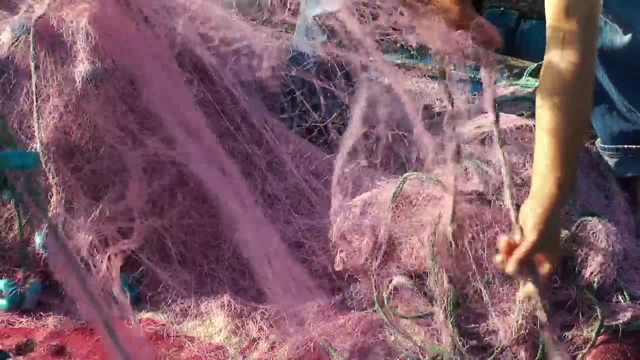 Stock Video Fishing Workers Pull Out The Fishing Net Live Wallpaper For PC - Free Download